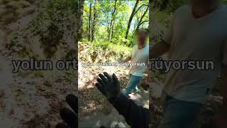 Akıllısı Bizi Bulmaz Delisi Peşimizden Düşmez