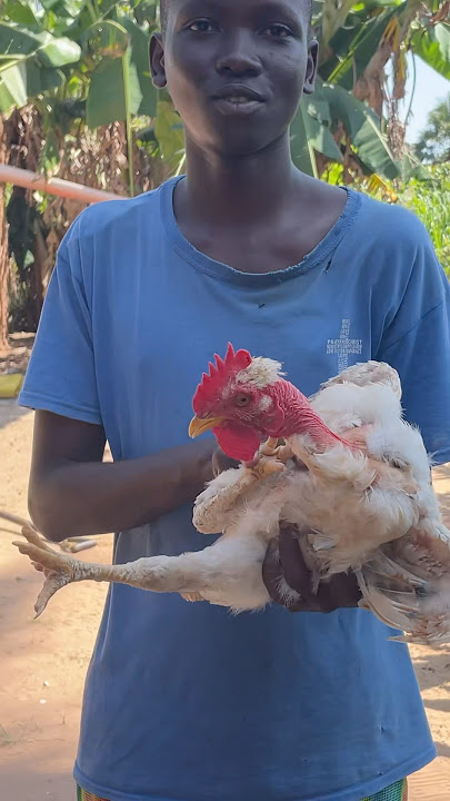 #village #youtubeshorts