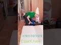 Химчистка дивана в Выборгском районе
