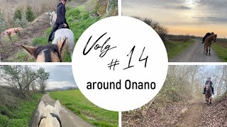 Vlog #14 // around Onano