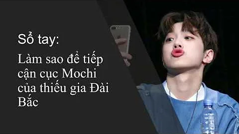 PanWink- Sổ tay: Cách tiếp cận cục Mochi của thiếu gia Đai Bắc