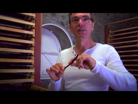 Vanilla and Rum on Reunion Island