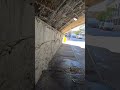 caminando 22.3 #variedad #shorts #viralvideo