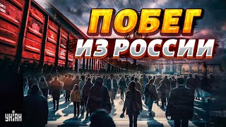 Большое бегство из РФ началось! Русские послали Путина и бегут на Запад - Курносова