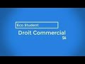 Vido 19 droit commercial s4  la personnalit morale de la socit