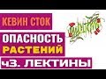 Антинутриенты ч.3. Что такое лектины? Вред для здоровья.