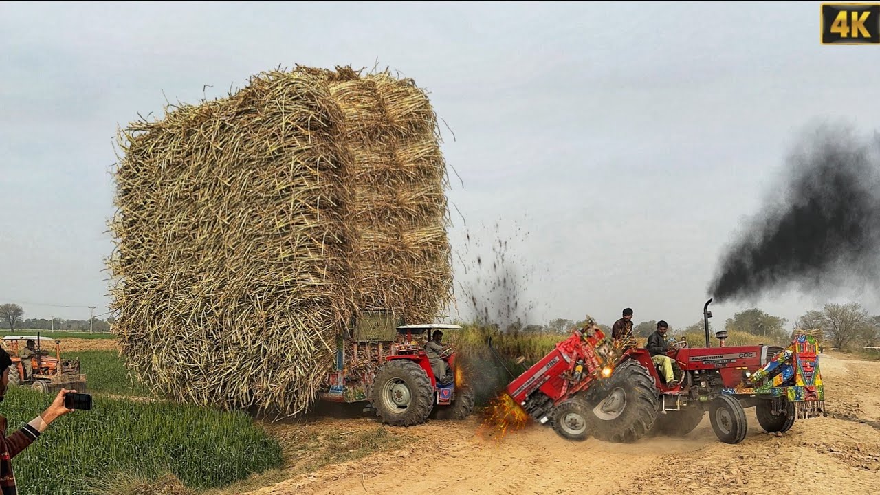 Massey Ferguson 385 tractor unbelievable Power | Alghazi Tractor Power fail in field | 4k Ultra HD