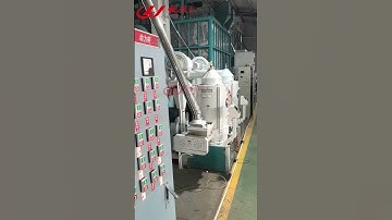 150 T/D Millet processing line in China.#rice #machine
