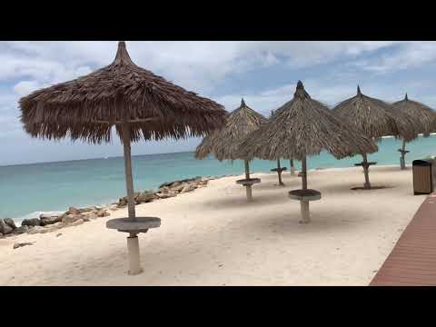 АРУБА 🇦🇼 ПОСЛЕДНИЙ ДЕНЬ НА ОСТРОВЕ 🦎🏝