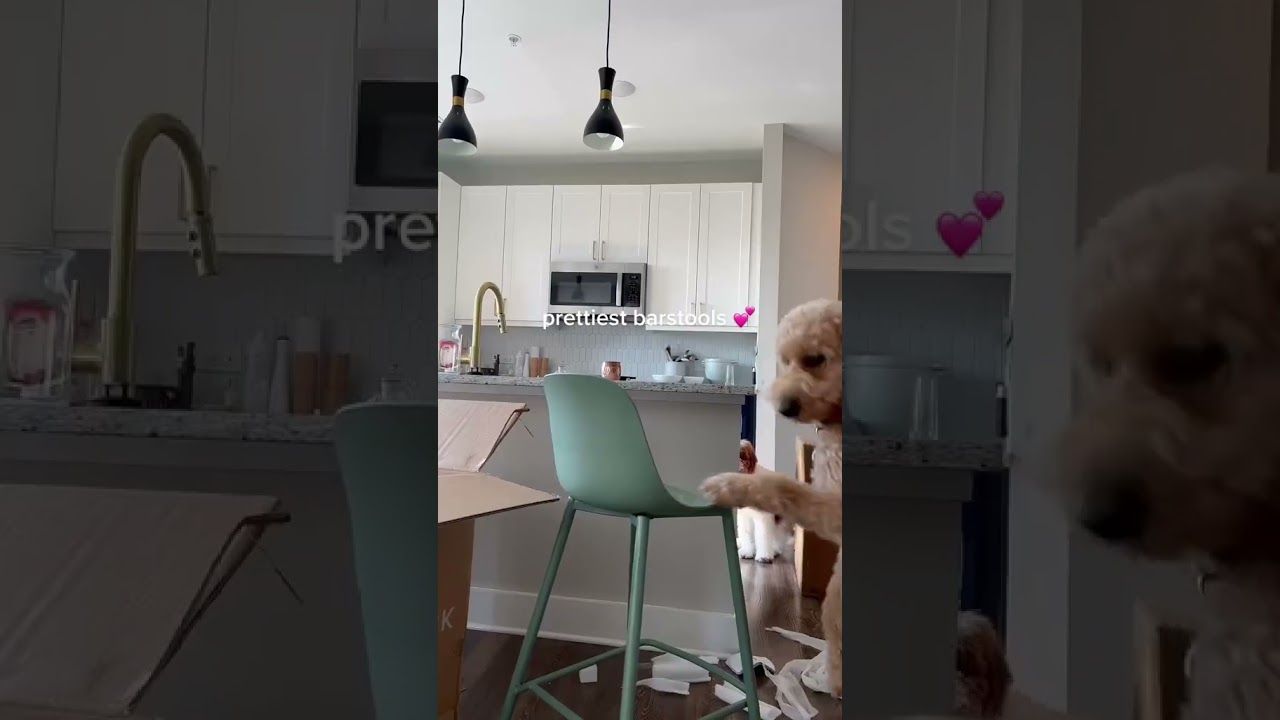 Unboxing the prettiest Sage green barstools