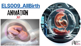 ELS009 AllBirth. Birth Process Childbirth Medical 3D Animation Video