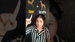 Do you know? 🤔✅Animals name! 🤔✅#learnenglish #shorts #englishspeaking #viralshorts #sohnigupta