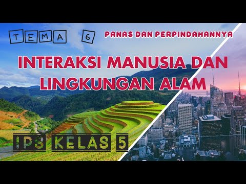 Video: Apa itu pembelajaran manusia?