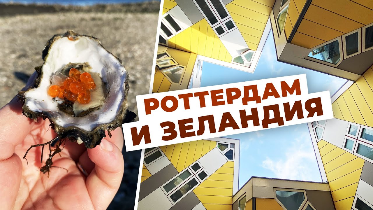 ЛОВЛЯ ДИКИХ УСТРИЦ в Нидерландах. Роттердам, кубические дома, Зеландия