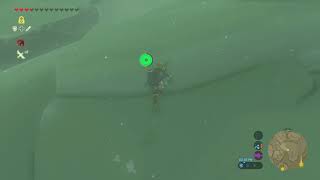 BotW: Navigating Pikida Stonegrove in Hundo