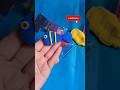 clay fish 😀 blue color Trying Simple Clay Art 🐠 My Fresh Attempt at Miniature Fish #viral #clayart