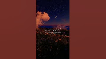 و قل ربي ارحمهما كما ربياني صغيرا 🌿تلاوة خاشعة🌿للقارئ ياسر الدوسري 🌿
