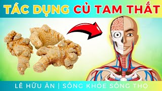 9 tác dụng TỐT KHÔNG NGỜ của CỦ TAM THẤT với sức khoẻ (và những lưu ý để sử dụng Hiệu Quả, An Toàn)