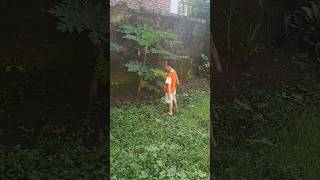 Bim Lagi Lihat Pohon Pepaya, Tapi Belum Berbuah