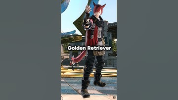 De Telgen van de Zevende Dageraad #finalfantasy #ffxiv #ff14 #ffxivmemes