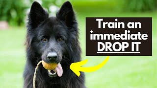 Train an IMMEDIATE Drop It Cue With This Simple Tip!
