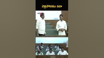 వెళ్లిపోదము పదా..! #ysjagan #apassembly #tv5news