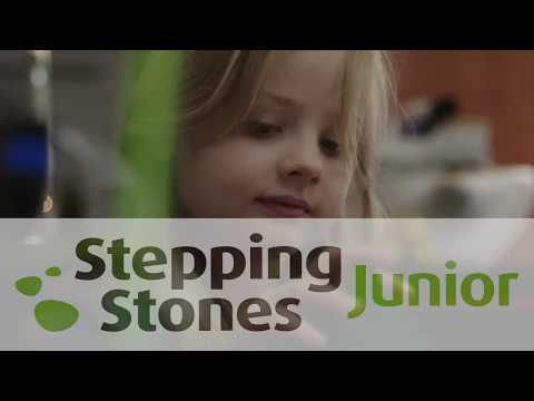 Stepping Stones Junior - groep 1- chapter 4 - At the petshop