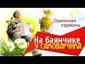 ОБЯЗАТЕЛЬНАЯ ПЕСНЯ любой посиделки с баяном! ПЕСНЯ ГРЕЕТ ДУШУ!