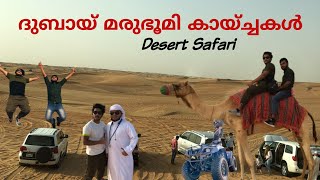 dubai desert safari/ദുബായിലെ മരുഭൂമി കാഴ്ചകൾ screenshot 5
