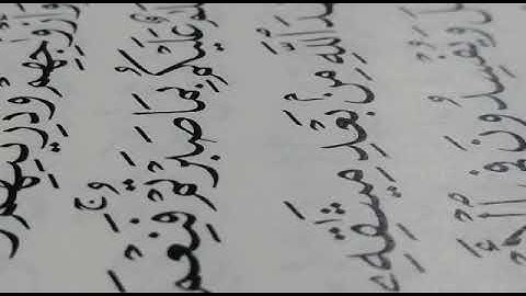 من اروع التلاوات لطالب: علي احمد المهري ( ابو نصوح) 😌💔