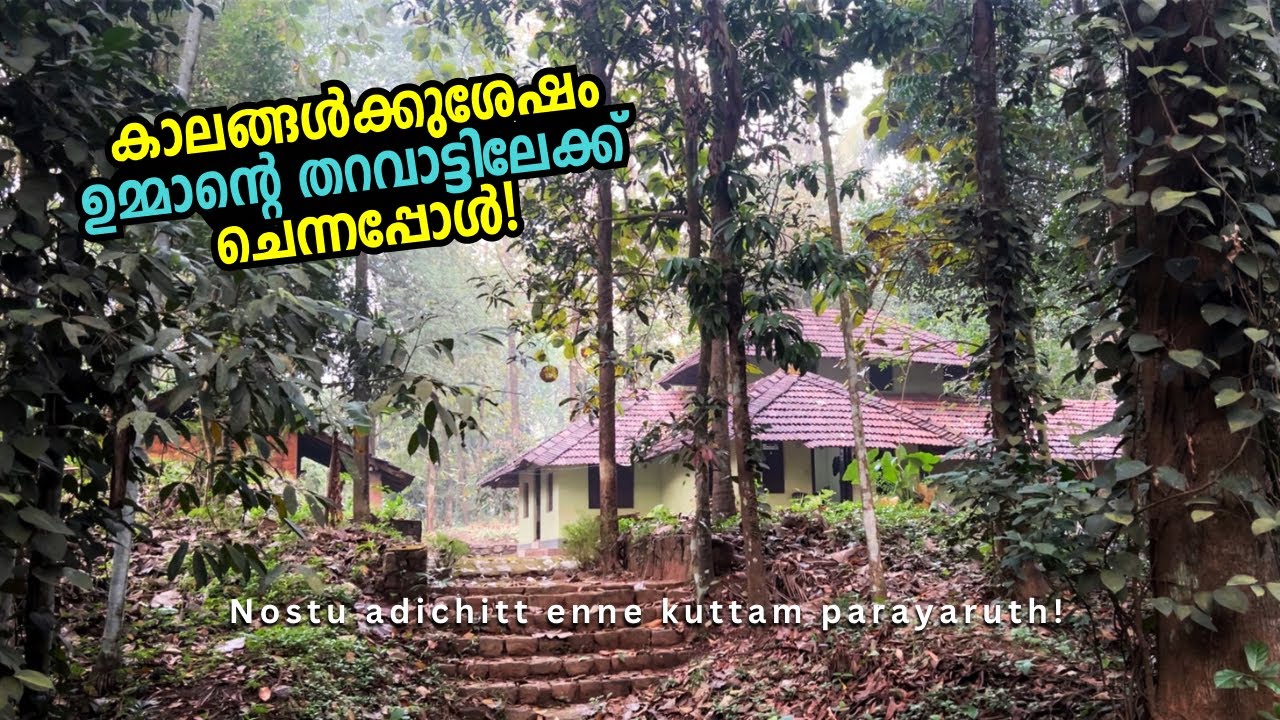 അതൊരു വല്ലാത്ത അനുഭവം ആയിരുന്നു! Staying in the ancestral home after a long time!