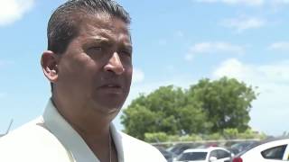 Celebrity Body of plane crash victim is EATEN by an alligator Wealth