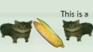 This is a corn