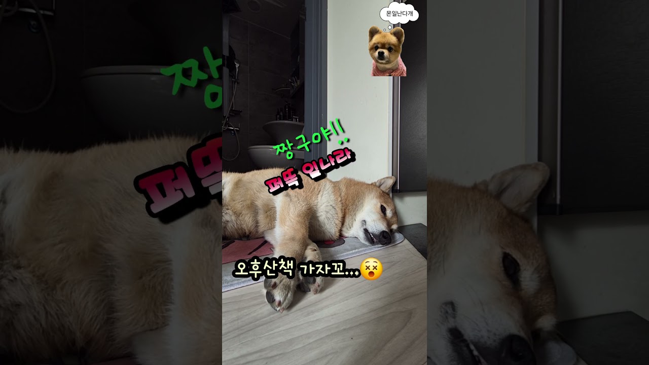 #드르렁 드르렁# 화장실 🚻앞 🚫#개미새끼 한 마리도 몬 들어온다#알것나?!시바ㅋ😵🤭