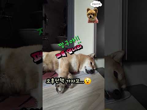 #드르렁 드르렁# 화장실 🚻앞 🚫#개미새끼 한 마리도 몬 들어온다#알것나?!시바ㅋ😵🤭