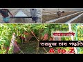 তরমুজ চাষ পদ্ধতি A to Z (বারোমাসি তরমুজ ) watermelon cultivation step by step