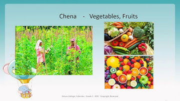 Grade 1   ENV   Different Places People Work