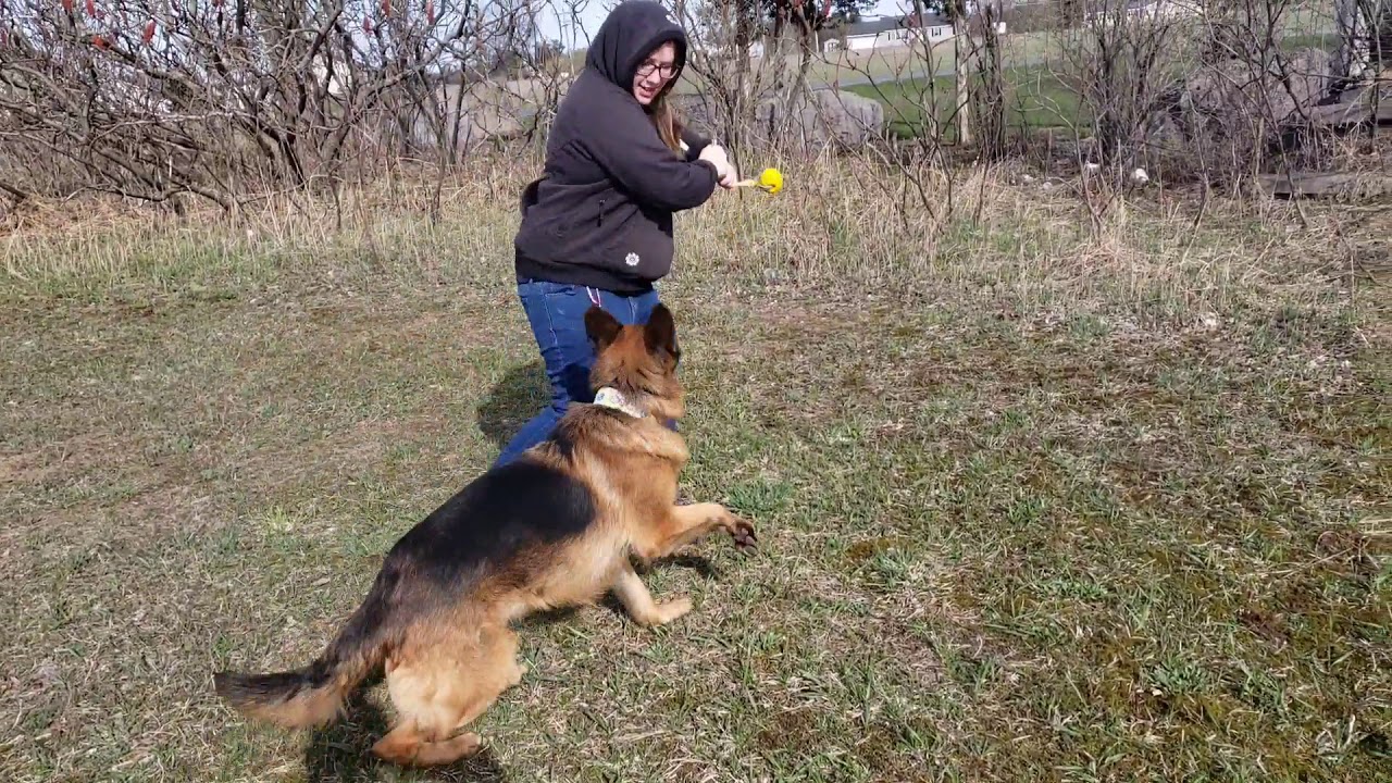 Blaze or Bust - Stashlogix Silverton