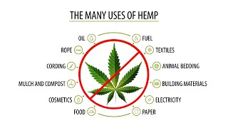 The Real Reason Why Cannabis Was Made Illegal