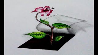 3d art -how to draw a flower blooming realistic in hi everyone!in this
drawing lesson we are going learn how 3d. and lear...