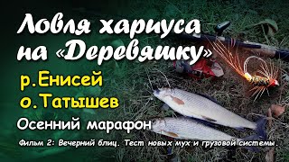 видео: Ловля хариуса на  картинка: Ловля хариуса на