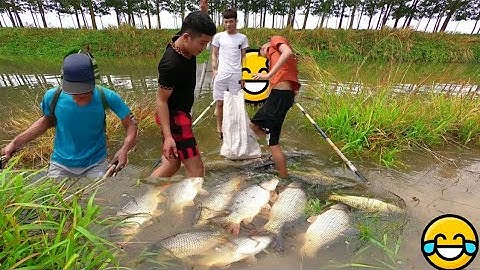 Test Thực Tế Kích Cá 52Đ Đi Thuyền Bắt Cá Rô Phi Nước Sâu, Cá Chép, Cá Lóc Siêu Khủng - Kích Cá 52Đ