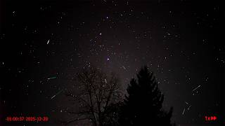 40 Meteors, Green Fireballs, Red Flashes, and Heavy Space Traffic