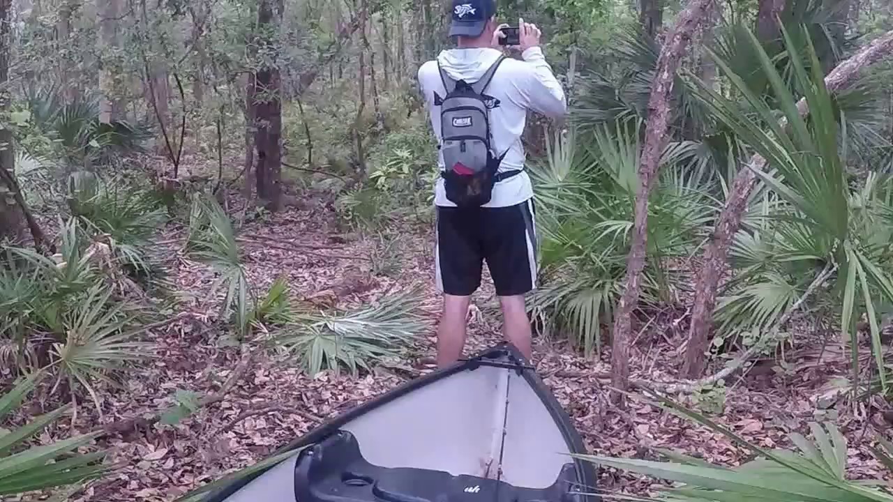 Hidden Lake, New Port Richey, FL