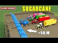 Easy Harvest and Sale on ALPS! Harvest Sugarcane with 50 Meter Cutter! | Farming Simulator 19