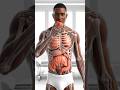 Tomato Digestion: What Happens Inside Your Body? (4K Animated Anatomy) #health #healthawareness