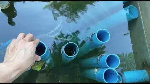 แนะนำการล้างบ่อปลาคราฟ ด้วยระบบบ่อปลาคราฟยุคใหม่