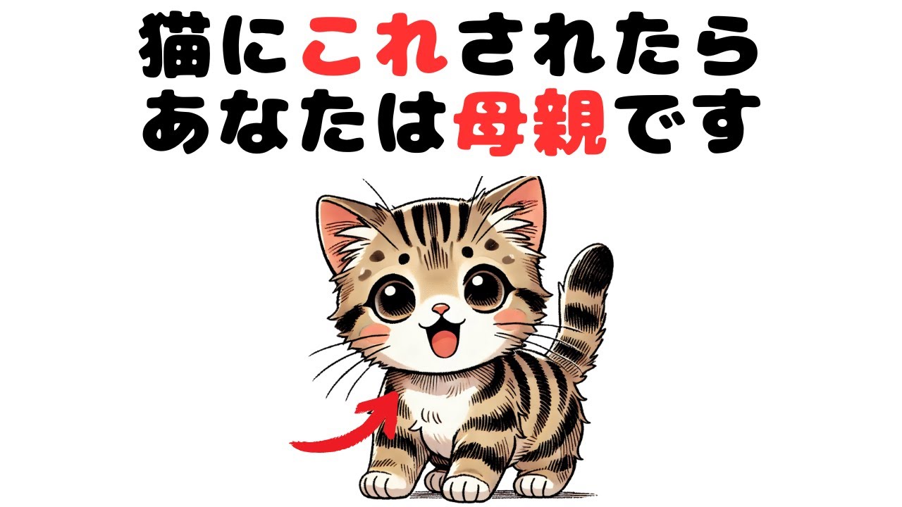 猫の雑学‼【あなたは母親認定されてる？】そう思ってる時の行動10選