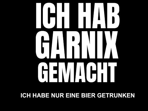Ich Hab Gar Nichts Gemacht Nur Eine Bier Getrunken Meme T-Shirt