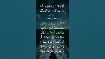 سورة الكهف ... الشيخ ماهر المعيقلي ❤🍃